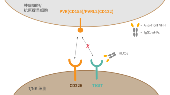 微信图片_20230425094708.png