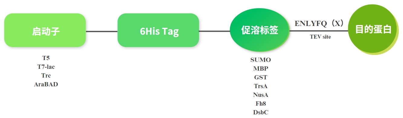 微信截图_20240423155207.png