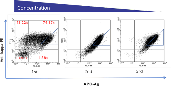 Antibody Affinity Maturation Service