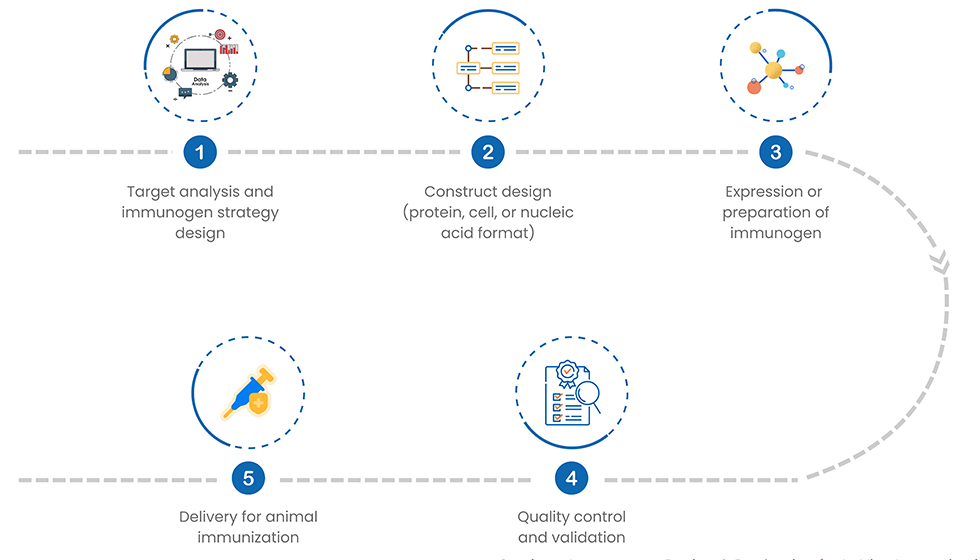 Immunogen Design & Production