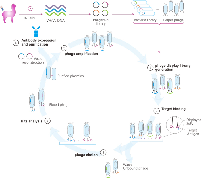 Home
