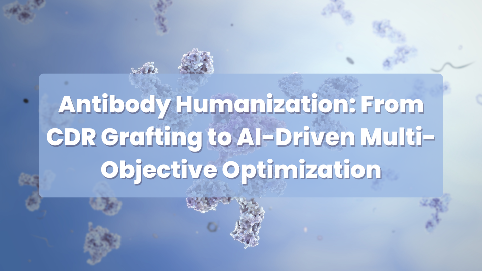 Antibody Humanization: From CDR Grafting to AI-Driven Multi-Objective Optimization