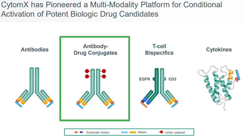 Masking Peptide Technologies for Antibody Therapeutics: From Undruggable Targets to Conditionally Activated Medicines