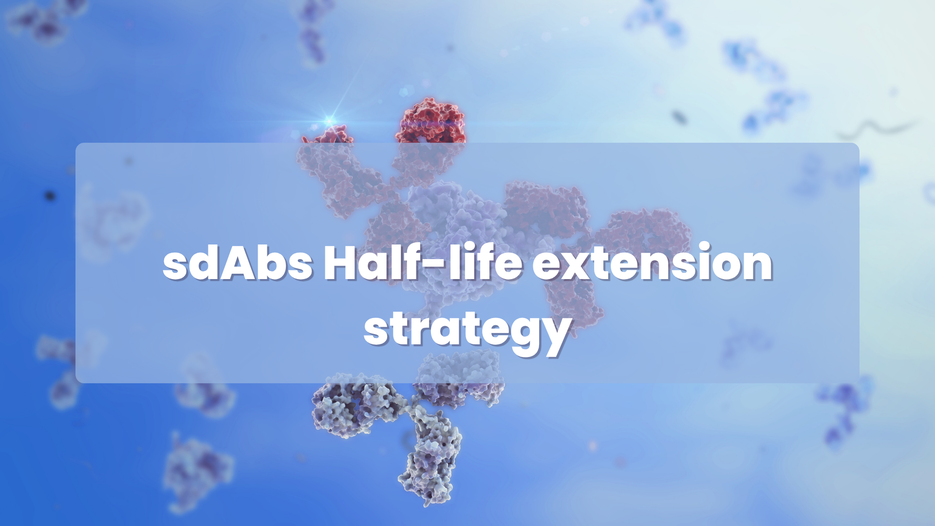 sdAbs Half-life extension strategy